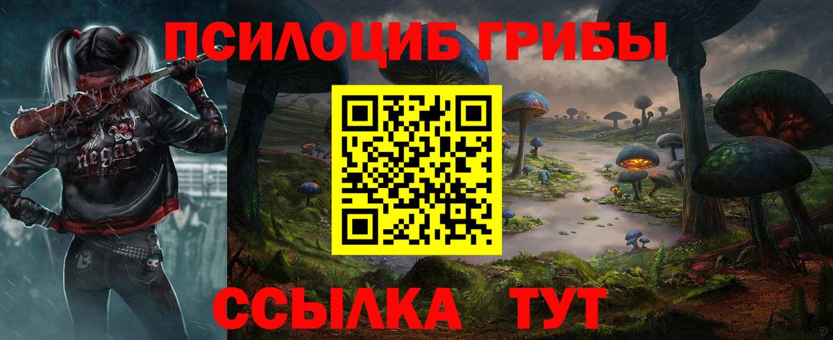 Галлюциногенные грибы прущие грибы  Вход с VPN  Прохладный 