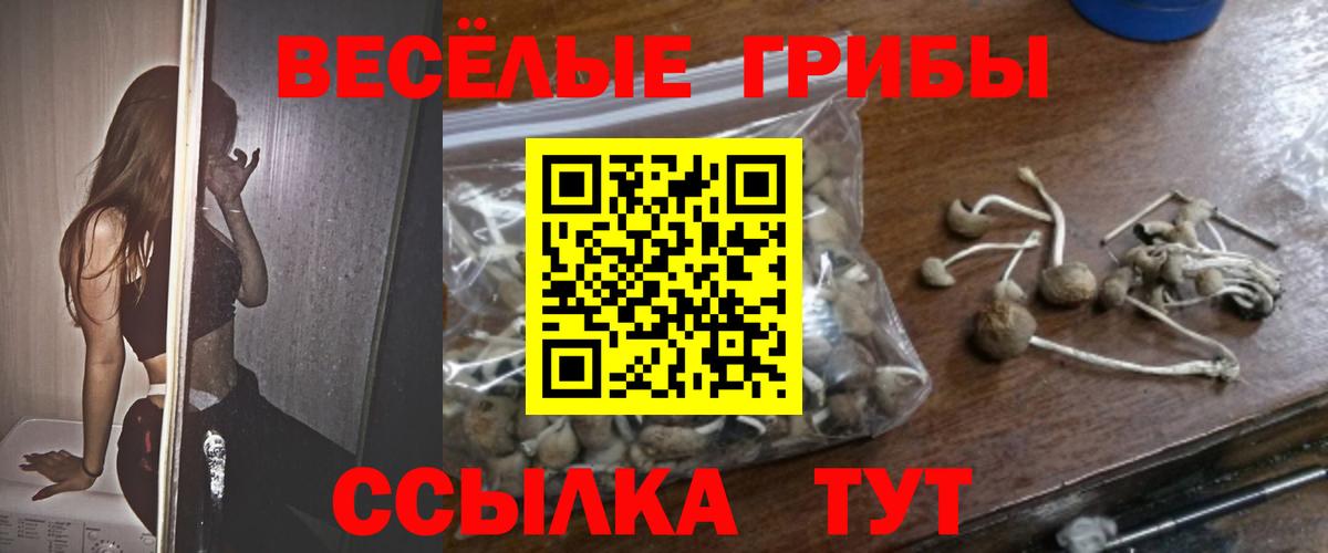 Галлюциногенные грибы GOLDEN TEACHER Прохладный